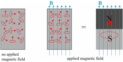 Magnetism Shown in the Presence of External Magnetic Field